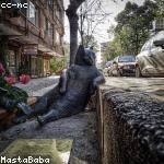 Malachi Collins Profile Picture